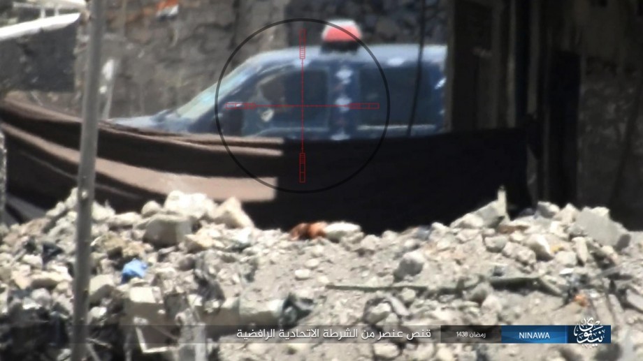 19_small.jpg