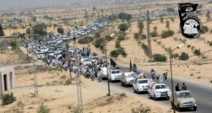 سيناتور أمريكى: أنصار بيت المقدس فى سيناء تهديد لمصالح أمريكا ولإسرائيل
