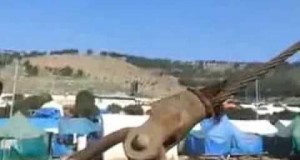 “المحكمة الشرعية” تطلق النيران بكثافة على الأهالي والنساء والأطفال النازحين في مخيم باب الهوى!!