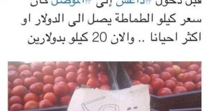 آية وحديث.. من 2 دولار للكيلو إلى 20 كيلو بدولارين!!