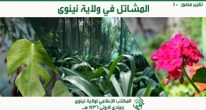تقرير مصور عن “المشاتل” في ولاية نينوى بالدولة الإسلامية